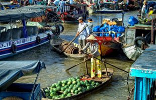 Mekong River Serenity: Homestay to Luxury Cruise